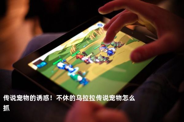 传说宠物的诱惑！不休的乌拉拉传说宠物怎么抓