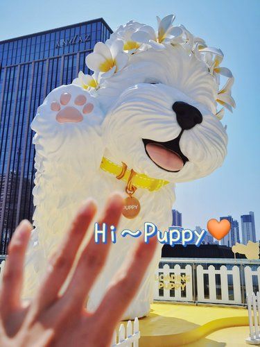 巨型Puppy｜厦门万象城楼顶握手计划