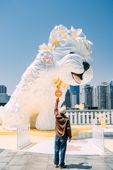 厦门新去处|闽南簪花小狗出圈啦
