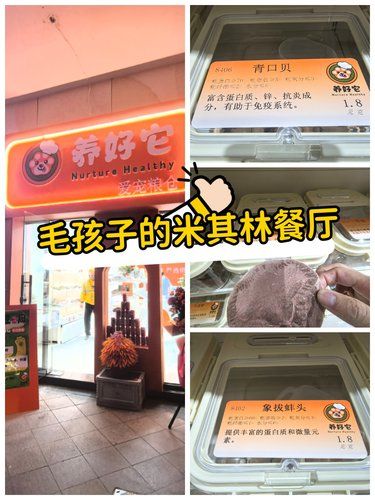 毛孩子的伙食进入next level了