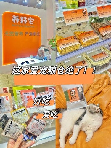 厦门首家！毛孩子们有福啦！！