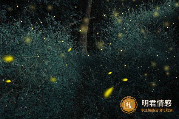 属狗适合养什么宠物?属狗人养这些宠物最旺财!