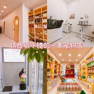 沈阳宠物洗护天花板