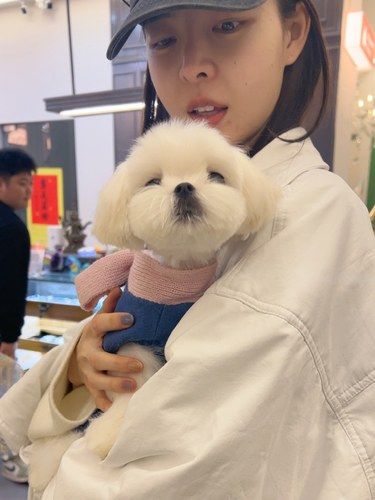 避雷这家犬舍！买到了我的梦中情狗！
