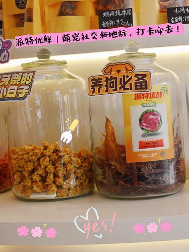 铲屎官必备！上海宠物友好圣地