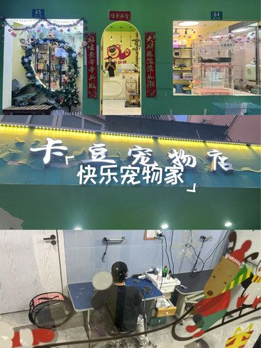 快乐宠物家