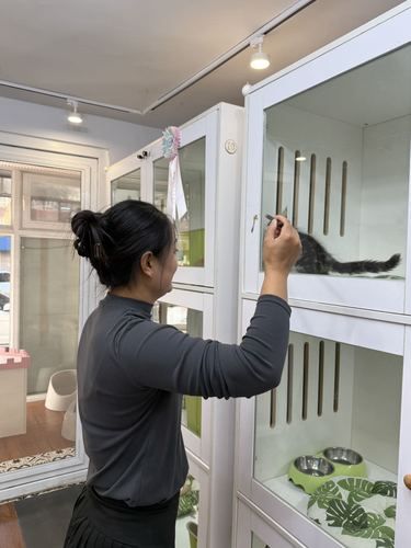 谁能拒绝小猫咪呢！