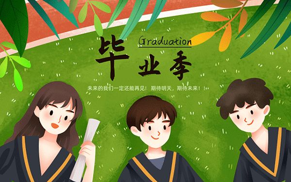 宠物培训宠物美容费用多少