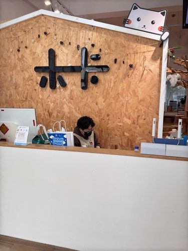 喵咪水疗享受时