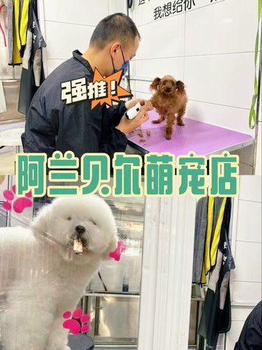 time与狗狗度过下午时光‼️‼️