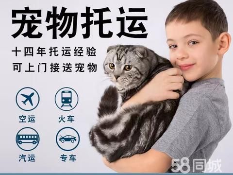 奢宠国际贸易·日喀则宠物托运 猫咪狗狗等活体运输 空运，随机，陆运专车保姆车上门接送