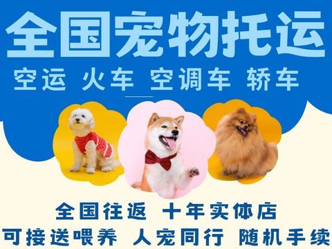 尛磊宠物货物托运·日喀则全国宠物托运空运火车空调宠物专车 人宠同行单独托运中途喂养十年店