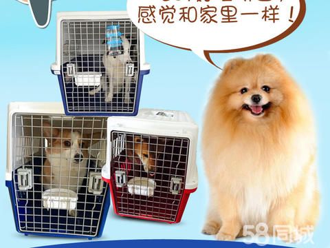 西安市高新区长久兴旺宠物服务部·日喀则本地宠物托运，选择长旺安全无忧、舒适之旅，家到家一对一人性化服务