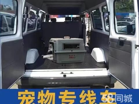 日喀则宠物托运·日喀则本土宠物托运，多年托运经验，说走就走，宠爱到家，给她一场爱的旅行