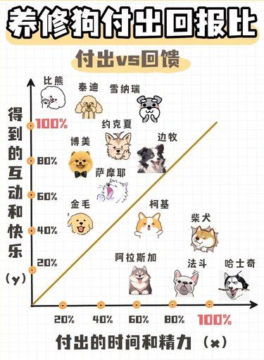 养狗付出回报比来了解一下