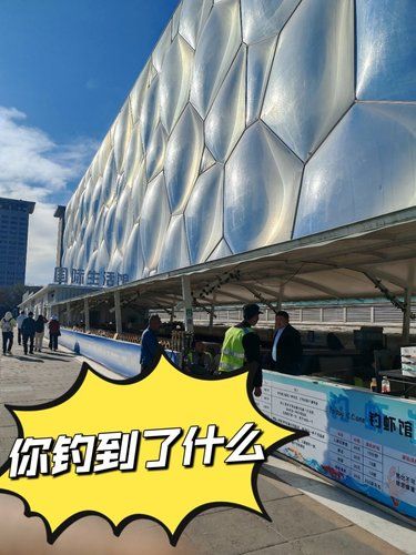 怎么会有人来了水立方不钓虾呀！