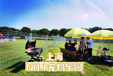 上海狗狗清明假期怎么玩？上海NO.1宠物乐园