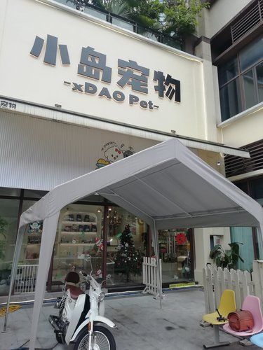 萌宠小店，可爱宠物中心