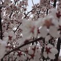 https://p1.meituan.net/userheadpicbackend/08d80c3e8da42b2eef764532204718db142595.jpg%40120w_120h_1e_1c_1l%7Cwatermark%3D0