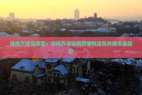 海南万城是哪里：寻找万城镇鹦鹉宠物店及所属市县信息