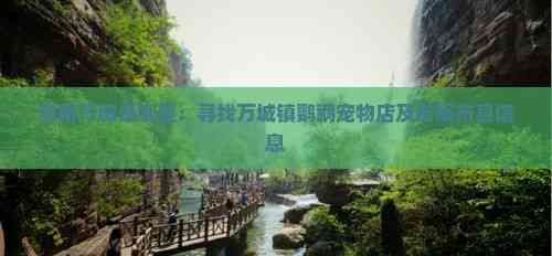 海南万城是哪里：寻找万城镇鹦鹉宠物店及所属市县信息