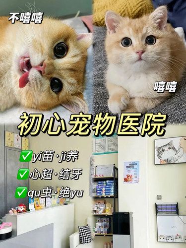 终于找到了一家宝藏宠物医院～