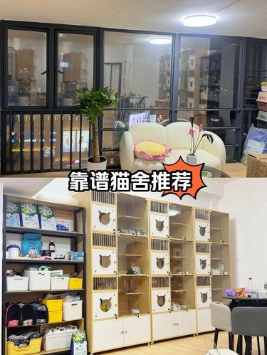 超多可爱的小猫咪～走不动路了