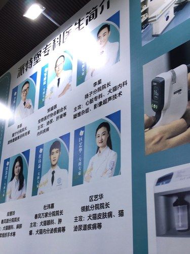 宠物展逛逛，看到瑞派，派特堡！