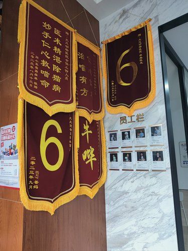 这绝对是00后送的锦旗。