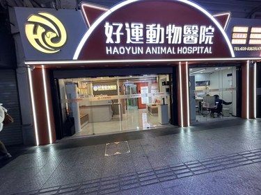 去过很多次的一家动物医院
