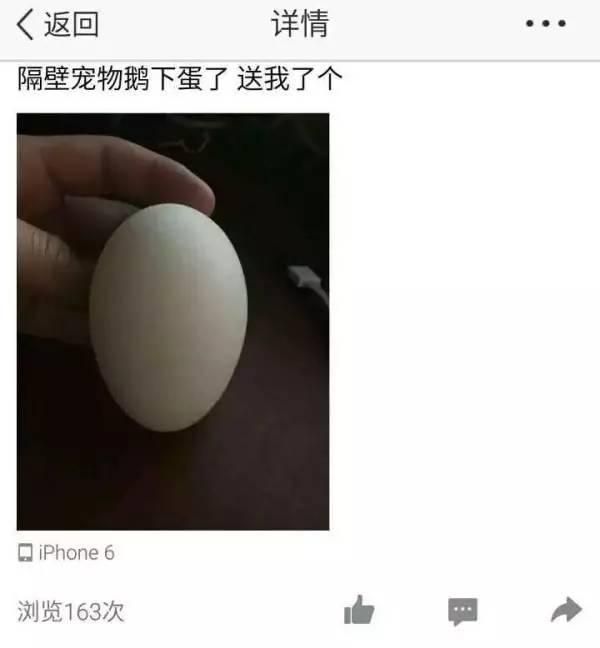 在宿舍里养哈士奇算什么，看看人家在宿舍养的宠物！