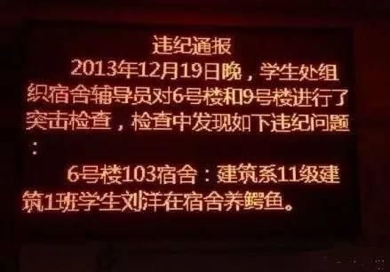 在宿舍里养哈士奇算什么，看看人家在宿舍养的宠物！