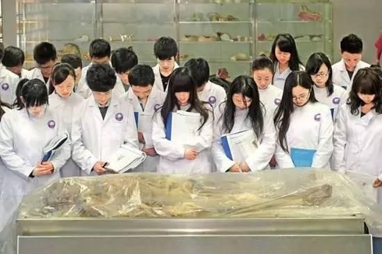 在宿舍里养哈士奇算什么，看看人家在宿舍养的宠物！