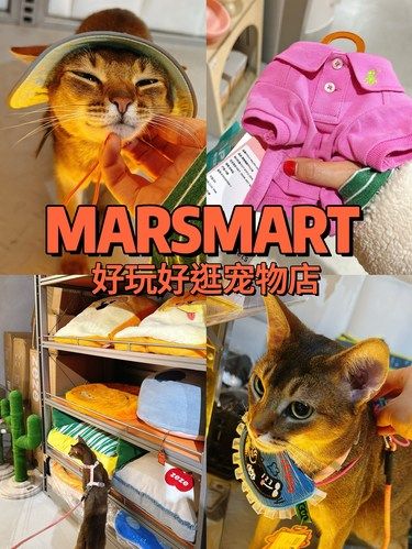 宠物店｜毛孩子必逛高品质用品店‍⬛