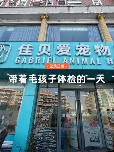 带着毛孩子体检的一天