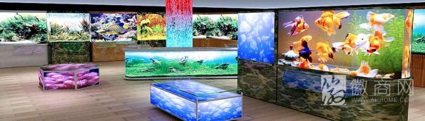 上海轩海宠物用品有限公司合肥分公司 鱼缸
