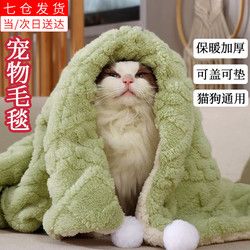 DUTRIEUX 宠物毛毯猫毯子冬季猫咪狗狗保暖毛绒小被子四季通用睡觉宠物地垫 宠物毛毯（绿色双面绒）36*55cm