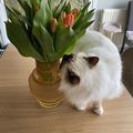 https://p0.meituan.net/userheadpicbackend/f9f541077721533205e4b67128fff8ff463528.jpg%40120w_120h_1e_1c_1l%7Cwatermark%3D0
