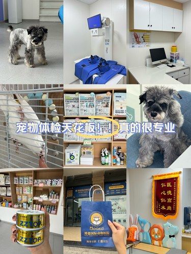 重庆。。宠物体检天花板！！真的很专业！！