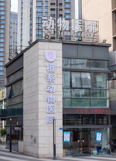 带着毛孩子体检的一天