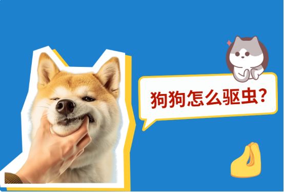 狗狗怎么驱虫？