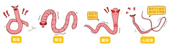 狗狗驱虫