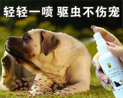 宠物狗一岁前如何正确进行驱虫（宠物狗驱虫频率）