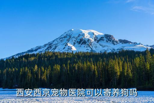 西安西京宠物医院可以寄养狗吗