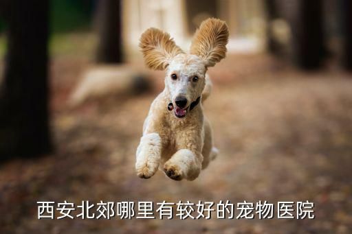 西安北郊哪里有较好的宠物医院