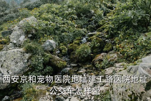西安京和宠物医院地址建工路医院地址公交车怎样坐