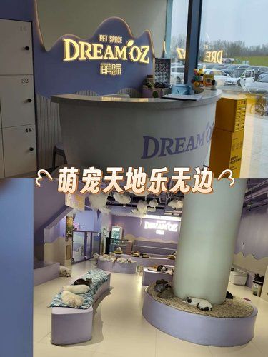 萌宠包围小可爱