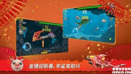 如何选购健康鲨鱼类宠物（如何选购鲨鱼类宠物）