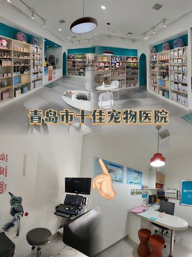 实名推荐❗️铲屎官和汪汪都满意的第二个家