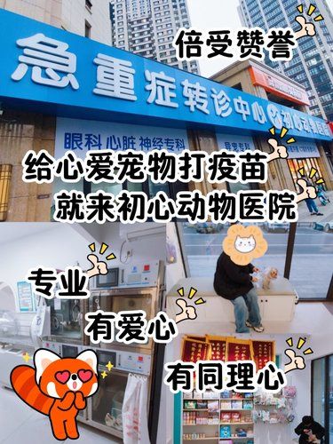 给心爱宠物打疫苗，就来初心动物医院